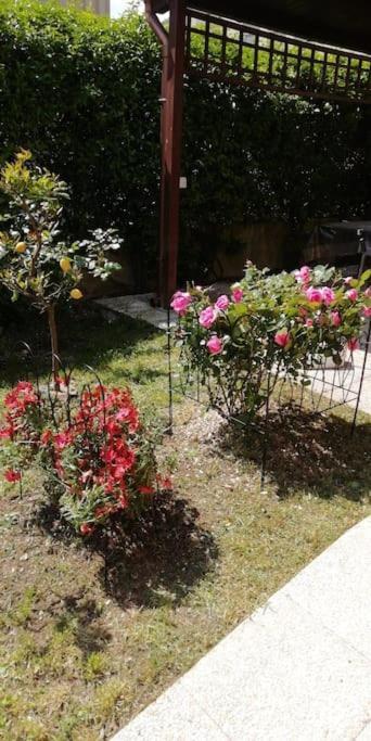אנגוילרה סבציה Appartamento Tra Il Borgo E Il Lago מראה חיצוני תמונה